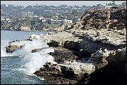 LaJolla-22.jpg