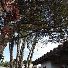 SanDiego2015-219-web.jpg