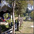 BigTreesRR05-05b.jpg