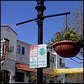 Dixieland_Monterey05-02b.jpg