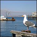 Dixieland_Monterey05-30b.jpg