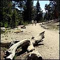 Tahoe_JUL05-50a1.jpg