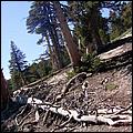 Tahoe_JUL05-55b.jpg