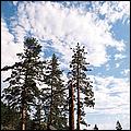 Tahoe_JUL05-a04b.jpg