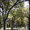 AlmadenDogPark06-034b.jpg