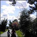 LosGatosTrail06-095b.jpg