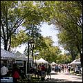 SaratogaRotaryArt06-29b.jpg