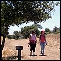 YAC06-PicchettiRanch-086b.jpg