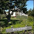 BikeRide_SantaCruz07-058b.jpg