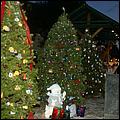 Christmas_inthe_Park08-112b.jpg