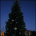 Christmas_inthe_Park08-117c.jpg