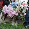 CreepyCrawlyHalloween08-159b.jpg