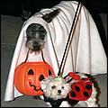 Howling_Halloween08-121e.jpg