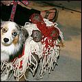 Howling_Halloween08-156e.jpg