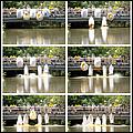 SVDuckRace08-058-063collage.jpg