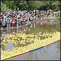 SVDuckRace08-090C.jpg