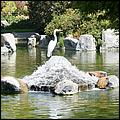 JapaneseFriendshipGarden08-008d2.jpg