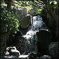 JapaneseFriendshipGarden08-059b.jpg