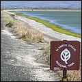 Bike-AlamedaCreekTrail-022d.jpg