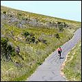 Bike-AlamedaCreekTrail-033c.jpg