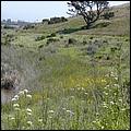 Bike-AlamedaCreekTrail-036b.jpg