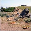 Bike-AlamedaCreekTrail-079c.jpg