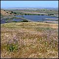 Bike-AlamedaCreekTrail-080c.jpg