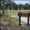 Bike-CoyoteCreekTrail08-052b.jpg