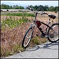 Bike-CoyoteCreekTrail08-101c.jpg