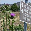 Bike-CoyoteCreekTrail08-123b.jpg