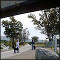 LosGatosTrail08-035c.jpg