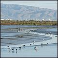 PaloAltoBaylands08-022b.jpg