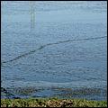 PaloAltoBaylands08-061b1.jpg