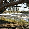 PaloAltoBaylands08-088b.jpg