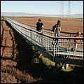 PaloAltoBaylands08-117b.jpg