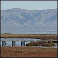 PaloAltoBaylands08-126c.jpg