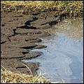 PaloAltoBaylands08-139b.jpg