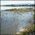 PaloAltoBaylands08-169b.jpg