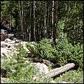 RockyMountainNP08-017c.jpg