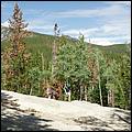 RockyMountainNP08-037b.jpg