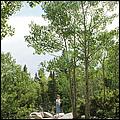 RockyMountainNP08-057b.jpg