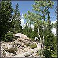 RockyMountainNP08-193d.jpg