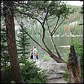 RockyMountainNP08-284c.jpg