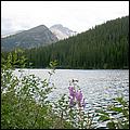 RockyMountainNP08-313d.jpg