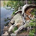 RockyMountainNP08-338d.jpg