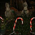 XmasLights09-037b.jpg