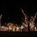 XmasLights09-046d.jpg