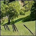 BernalRanch_SantaTeresaCP-110c.jpg