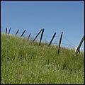 BernalRanch_SantaTeresaCP-196b.jpg