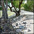 Bike-AlamedaCreekTrail09-019ab.jpg